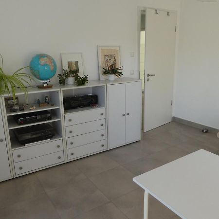 Grosszuegige,Zetrumsnahe Wohnung Drezno Zewnętrze zdjęcie